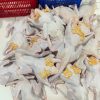Vịt móc nguyên con - Ảnh 6