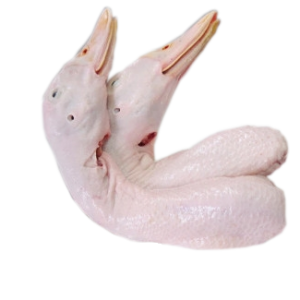 Đầu cổ vịt